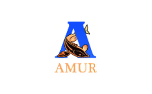 阿穆尔/AMUR