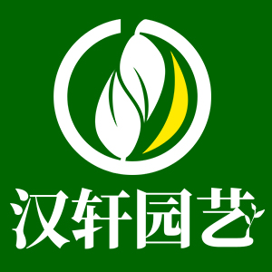 汉轩